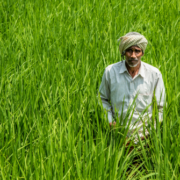Ram Saran Verma