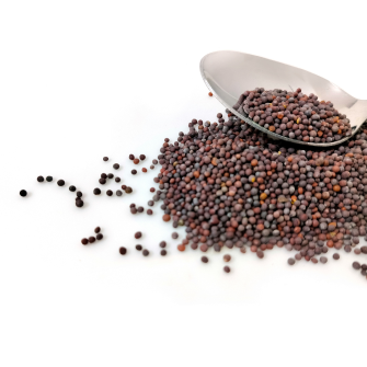 Mustard Seeds