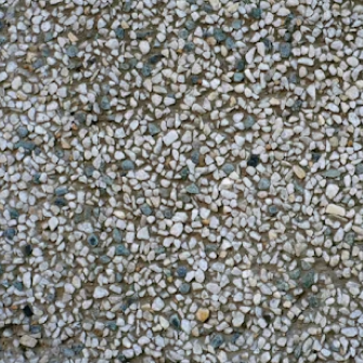 Pearl Millet (Bajra)